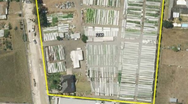 216 Rickard Road, LEPPINGTON, NSW 2179
