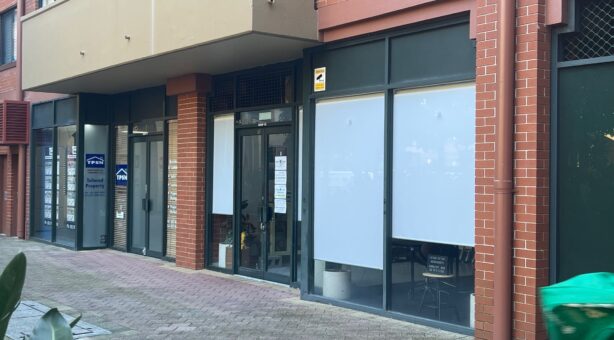 177-219 Mitchell Road, ERSKINEVILLE, NSW 2043