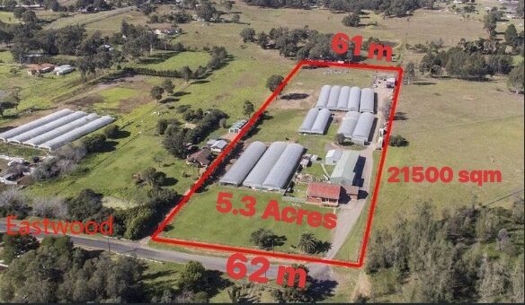 365 Eastwood Rd, LEPPINGTON, NSW 2179