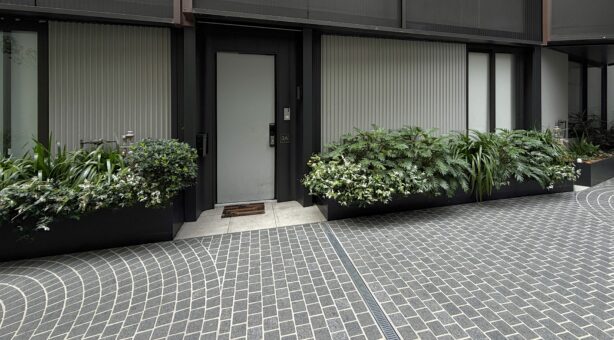 3A/56 Mount Street, PYRMONT, NSW 2009